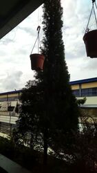 Woodlands Bizhub (D27), Factory #570951821
